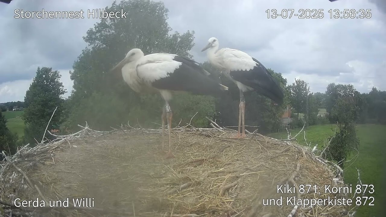 Klapperkistes erster Ausflug