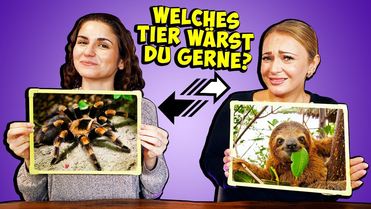 WER KENNT WEN BESSER? Challenge mit verrückten Fragen!