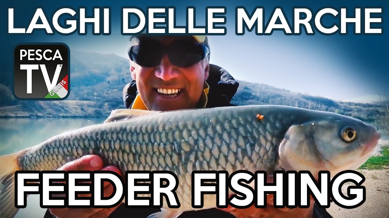 Pesca a feeder sui laghi delle Marche