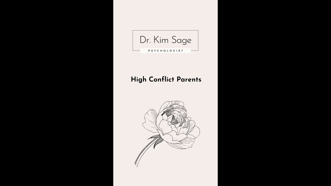 High Conflict Parents