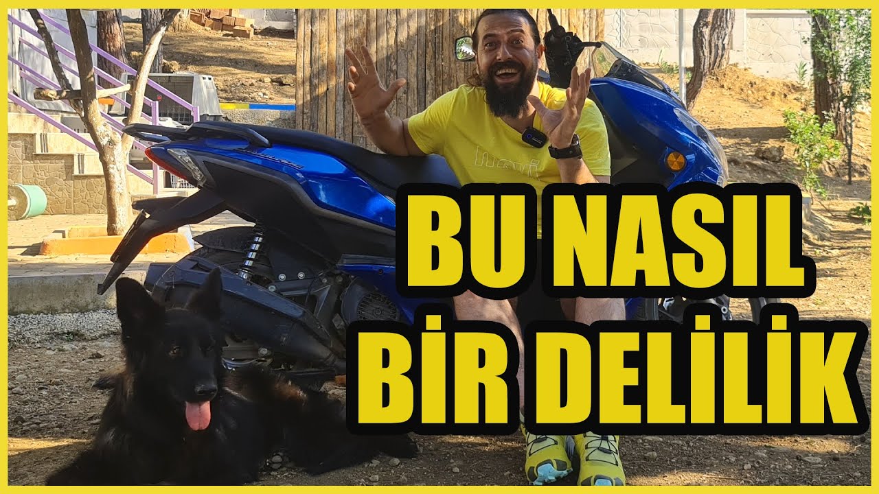 DİKKAT KÖPEK DELİRTİR - KÖPEK BAKMA HASTALIĞINA NASIL YAKALANILIR ?