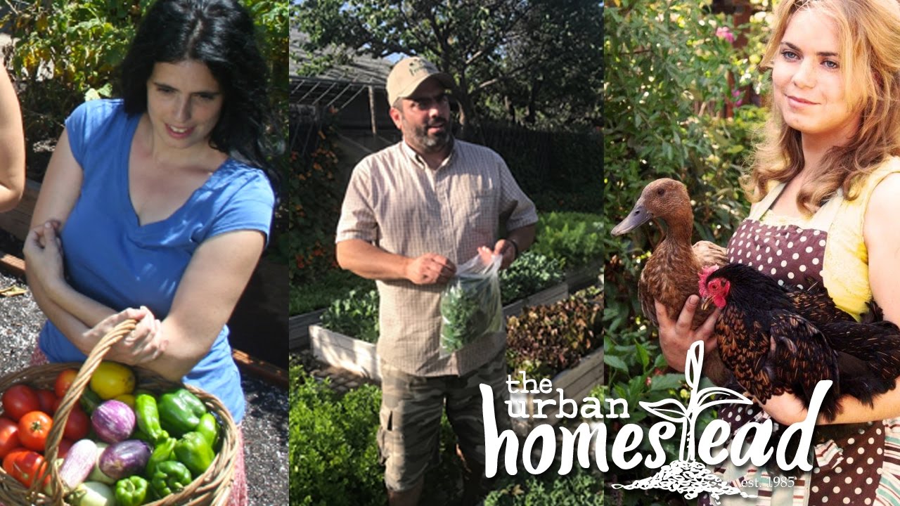 The Urban Homestead Theme Song Music Video