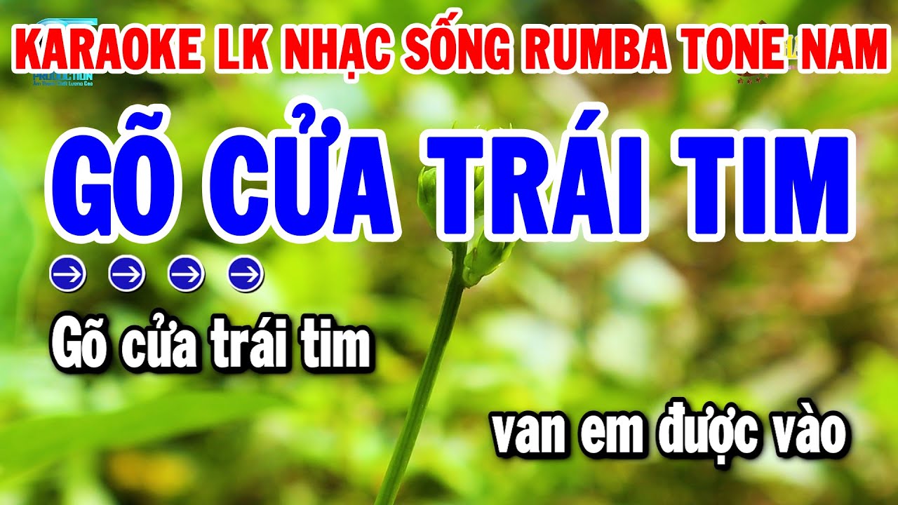 Karaoke Liên Khúc Tone Nam Nhạc Sống Dễ Hát 2024 | Gõ Cửa Trái Tim - Sầu Tím Thiệp Hồng | Thanh Hải
