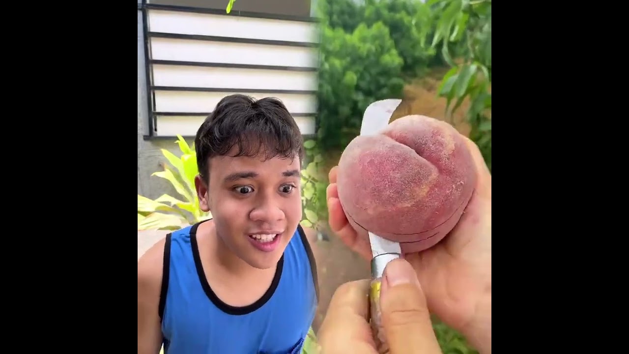 🤣👌👌👌2026 pov Must-Watch Crazy Clips Compilation #humor #fypシ #pov #fyp #foryou 😍😜