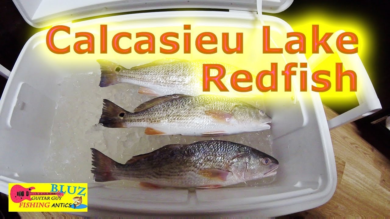Size Matters - Calcasieu - Fishing for Redfish on Big Lake