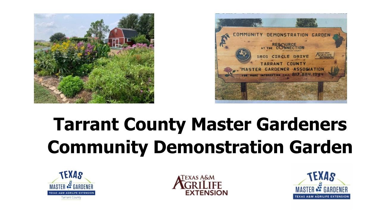 TCMGA Demo Garden History w Randy Walker