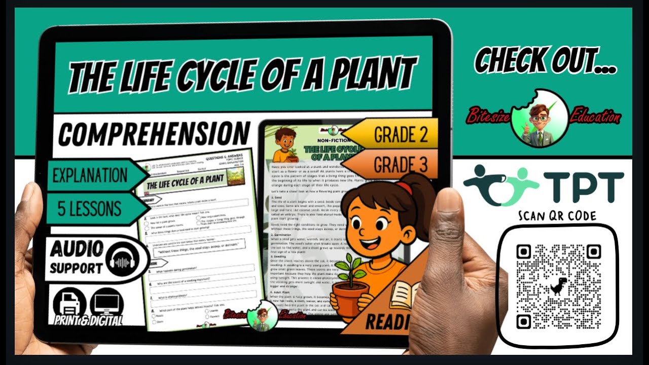 The Life Cycle of a Plant | From Seed to Flower Explained