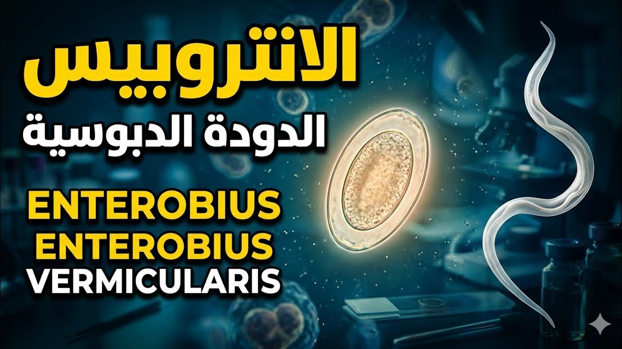 Enterobius Vermicularis الديدان الدبوسية كما لم تراها من قبل + السلوفان تكنيك + الاعراض والتشخيص