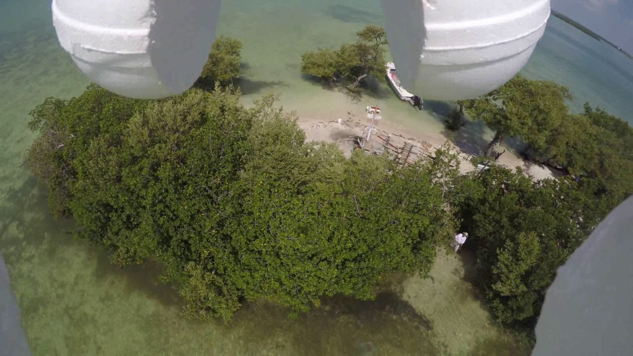 Barracuda Strike on Drone