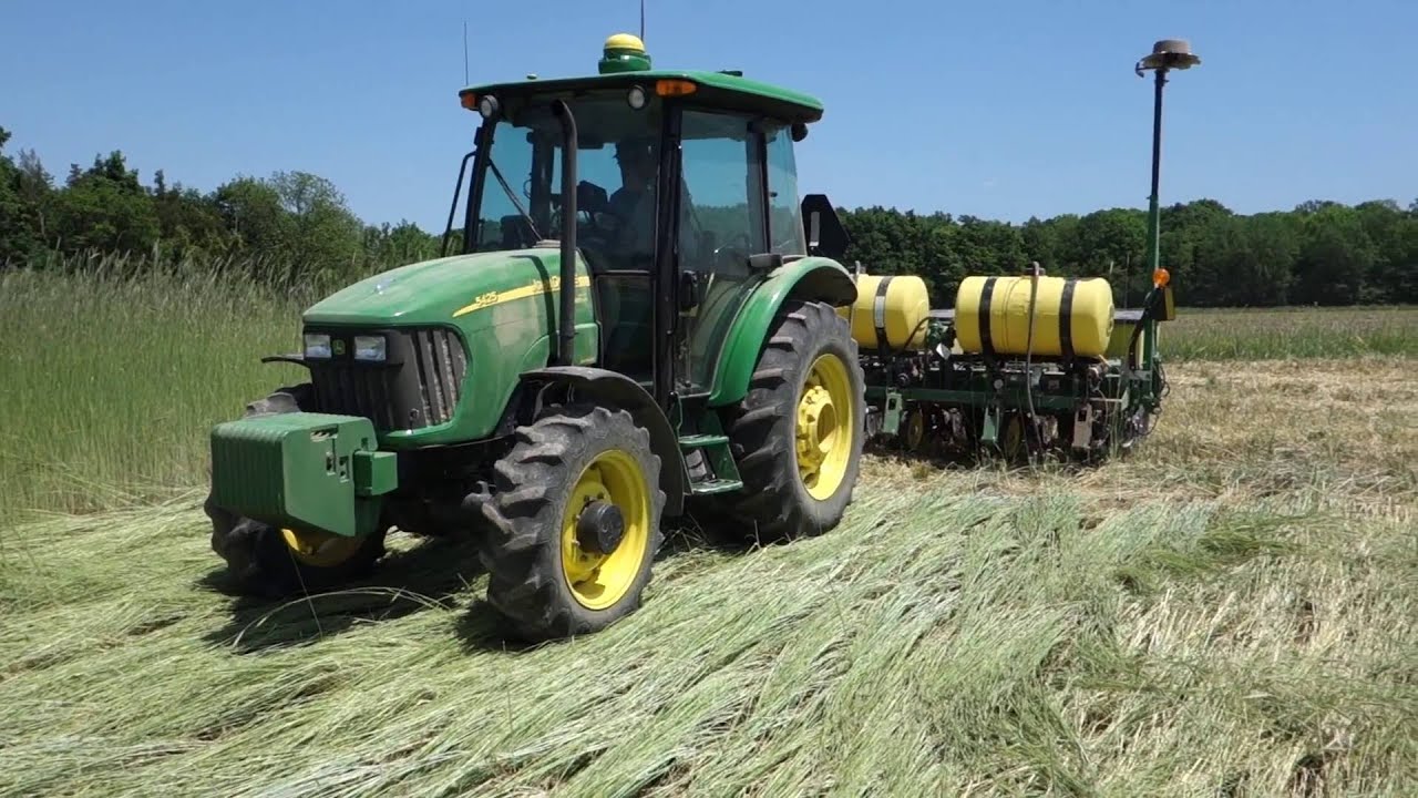 ORGANIC NO-TILL: Roller crimping rye cover crop for soy planting