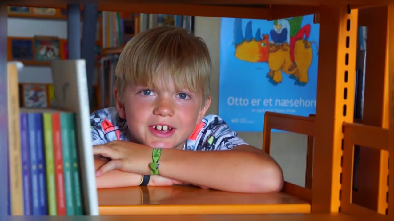 Rask Mølle skole søger ny skoleleder.