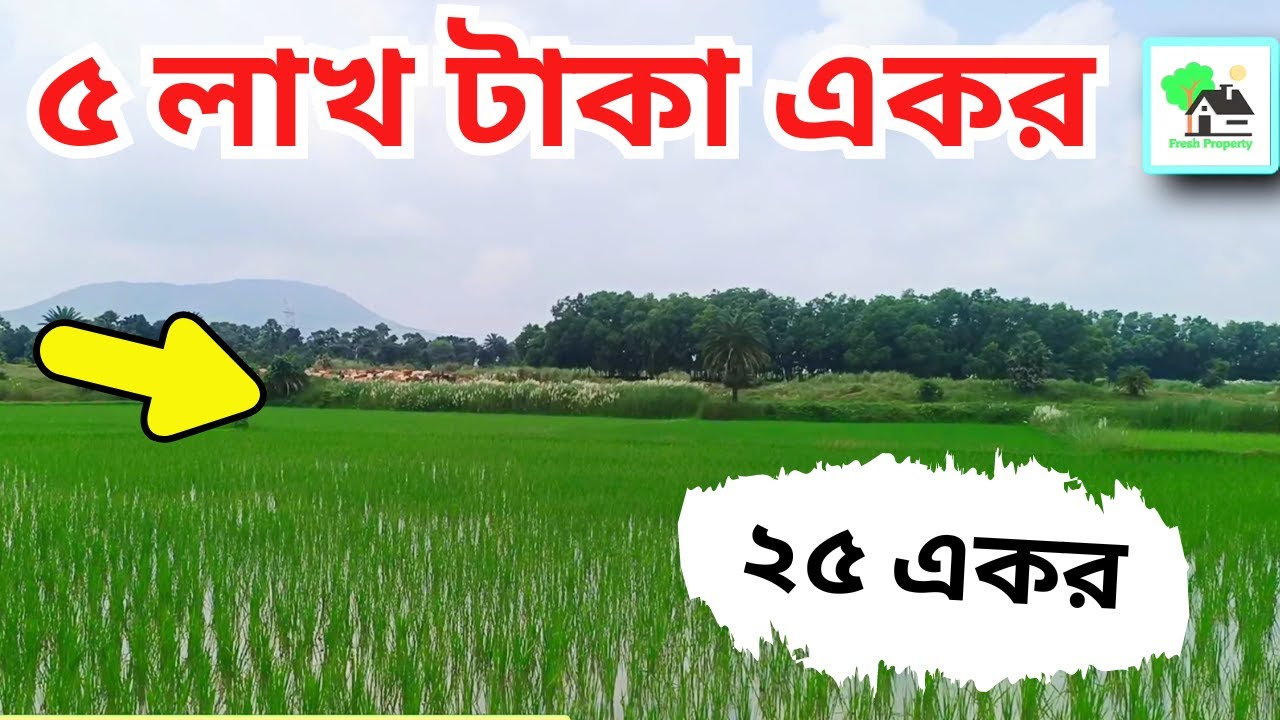 Fp - 967 | কম দামে ভালোবাসা | Low price agriculture land sale | Fresh Property | 9073 145 145