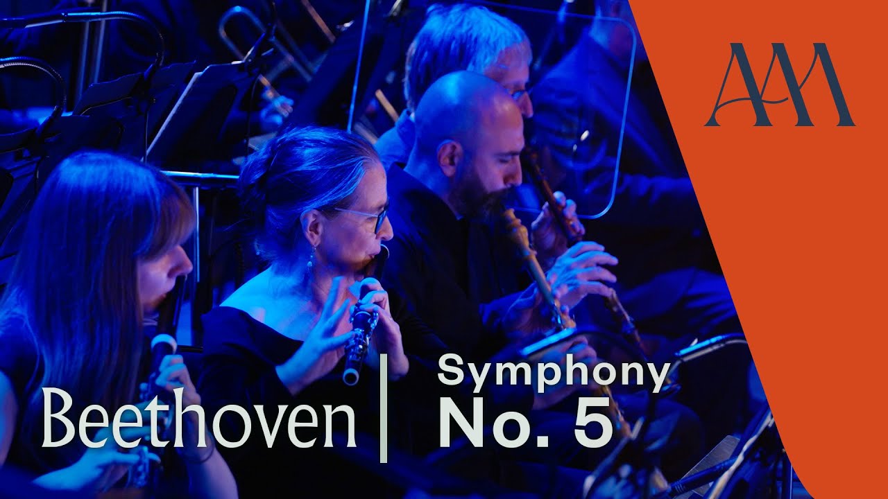 Beethoven's Symphony No. 5, Allegro