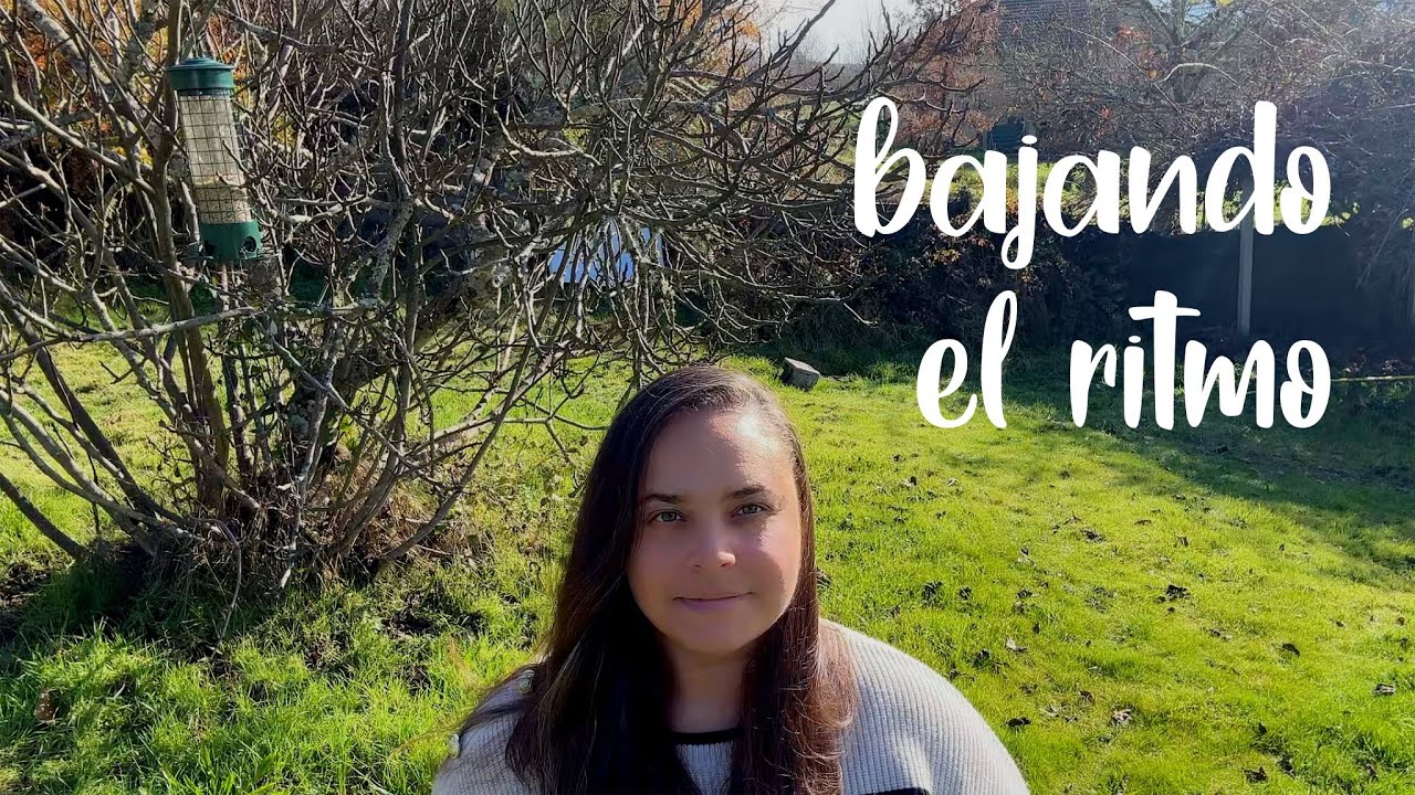 algunos odiáis que haga esto - silent vlog