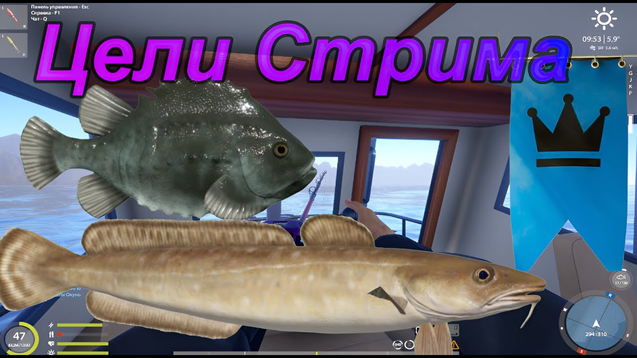 В поиске Трофа! Розыгрыши ! Подарки для зрителей !