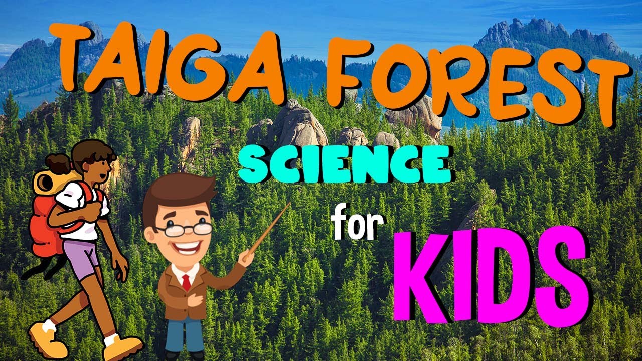What is the Taiga Forest | Science for Kids