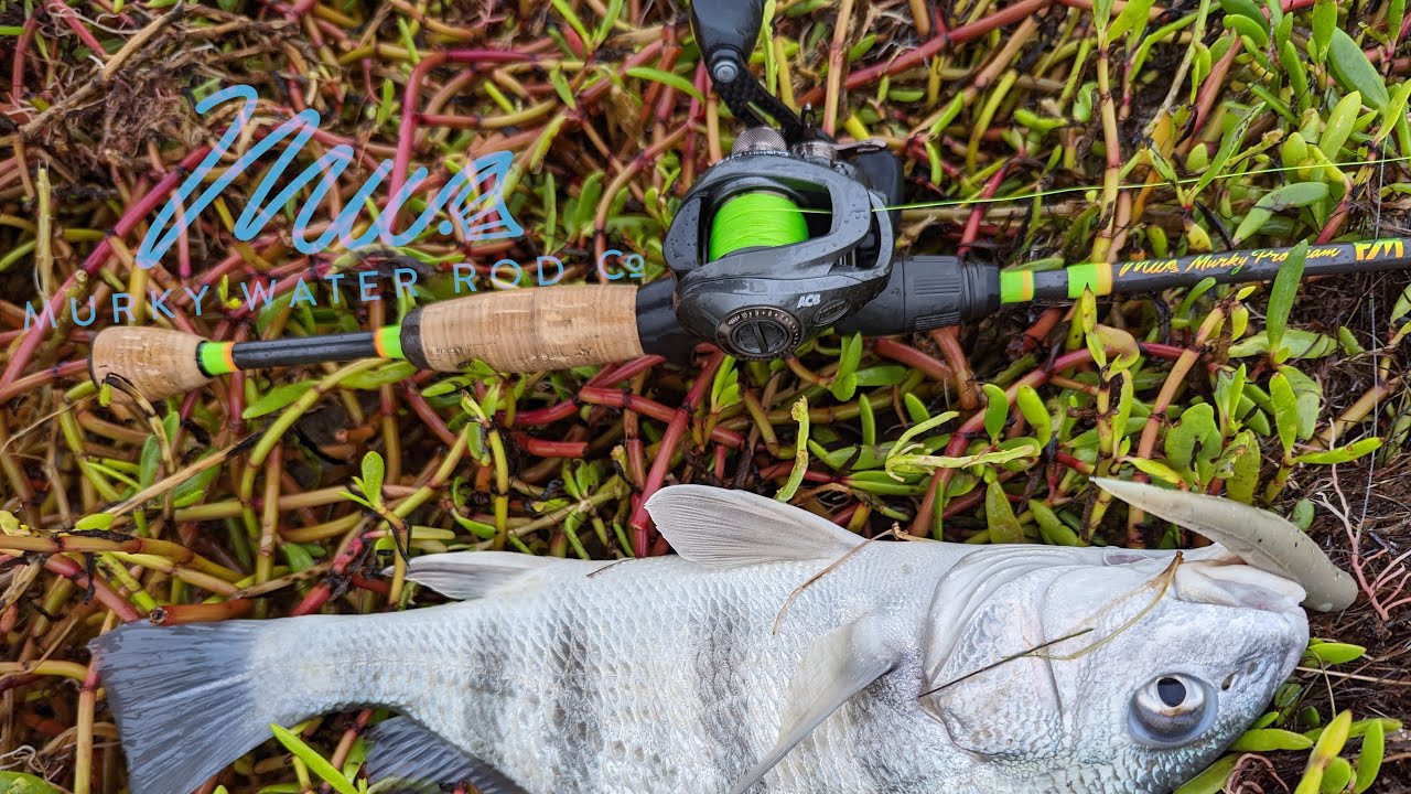 The ONLY knots you need! See how I tie my go to knots...braid to mono Alberto knot and Loop knot!