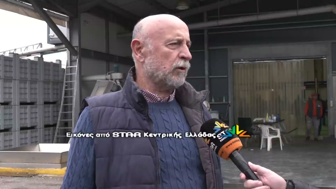 Φθιώτιδα: Η ανομβρία έπληξε ελιές και λάδι. Ανησυχία για την τιμή