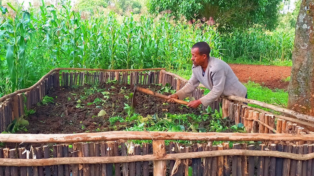 አማራጭ የተፈጥሮ ማዳበሪያ ኮምፖስት ዝግጅት