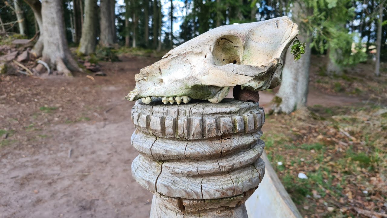 H048 (Schwarzwald) Bad Teinach-Zavelstein