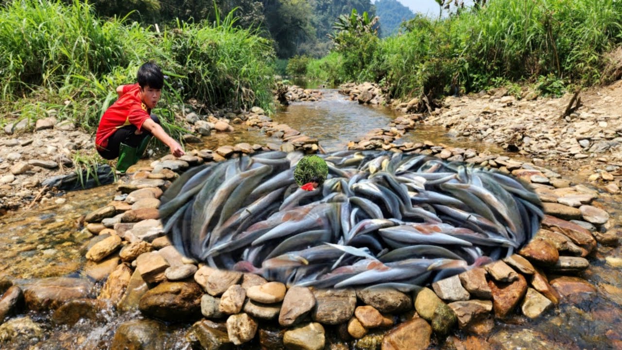 The boy skillfully stacked the stones on top of each other to create a very unique fish trap.