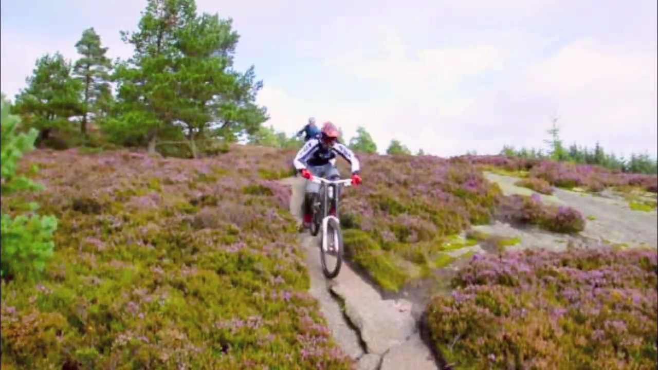 Pitfichie Downhill HD