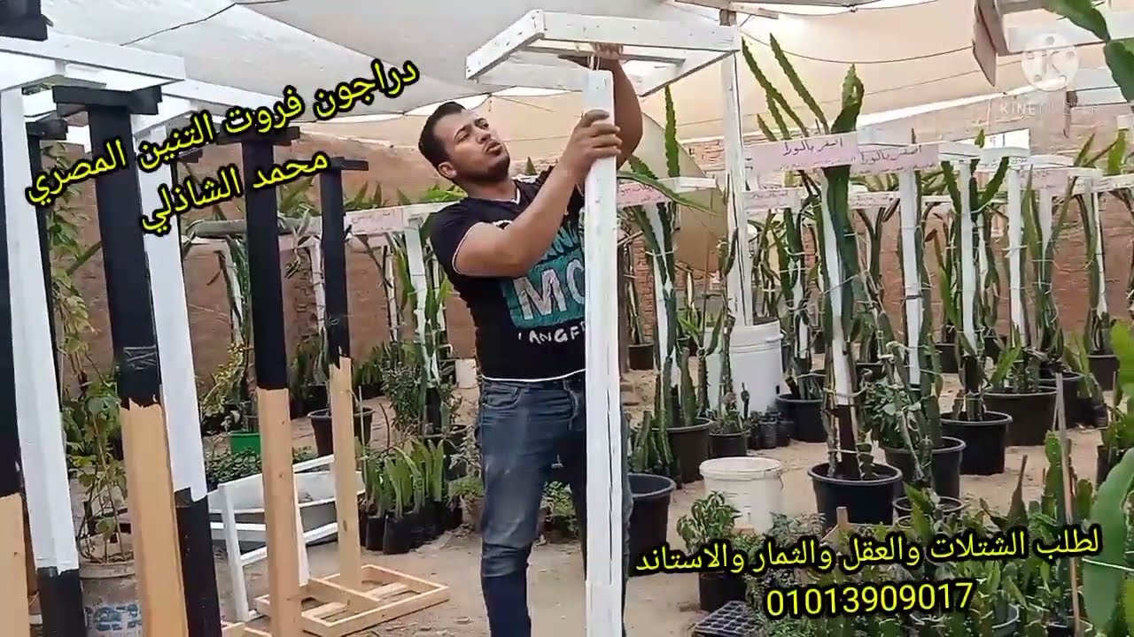 تعلم اسهل طريقه لعمل استاند الدراجون فروت بالاطار الخشبي واطار السياره مع التنين المصري محمد الشاذلي