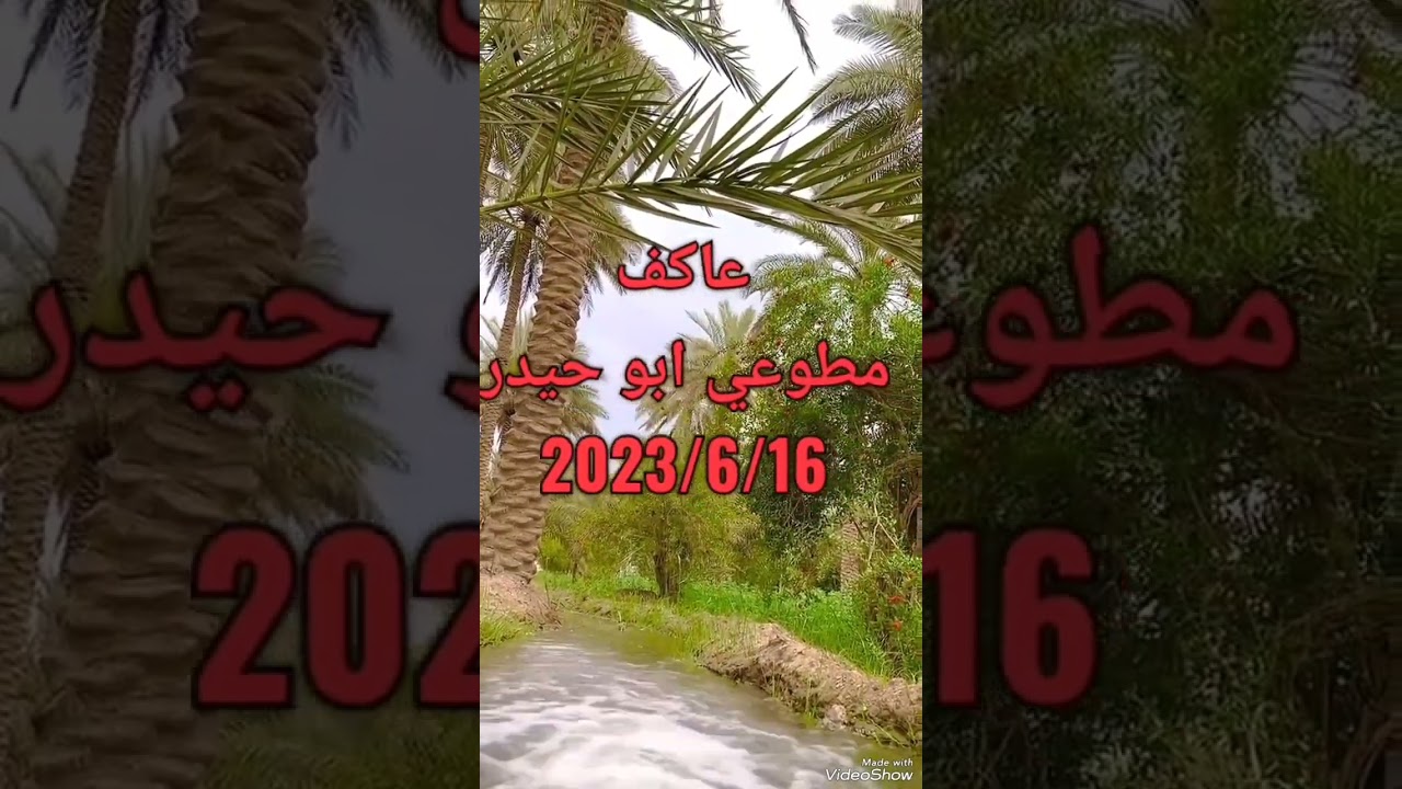 عاكف مطوعي ابو حيدر