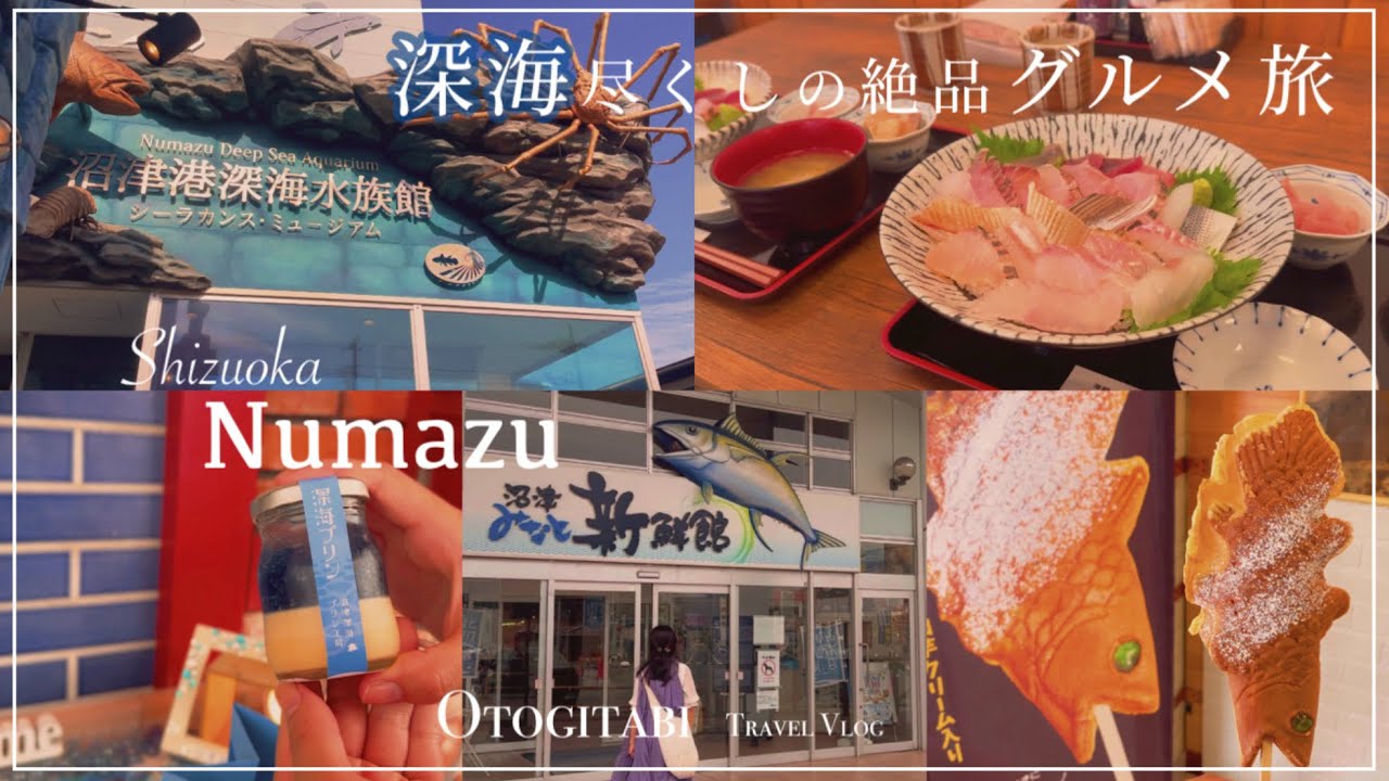 【 沼津 】深海尽くしの港町🪼絶品グルメとロマンを求めて…🦑🌊┊静岡県┊沼津港┊日帰り┊numazu