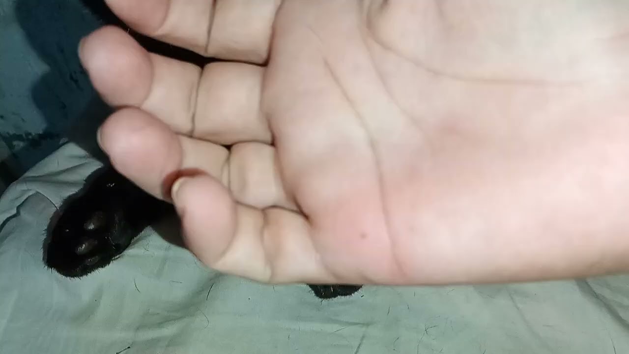 Uma fera, era só uma pegada no peitin