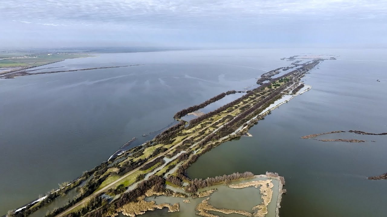 Valli di Comacchio - Oasi di Boscoforte