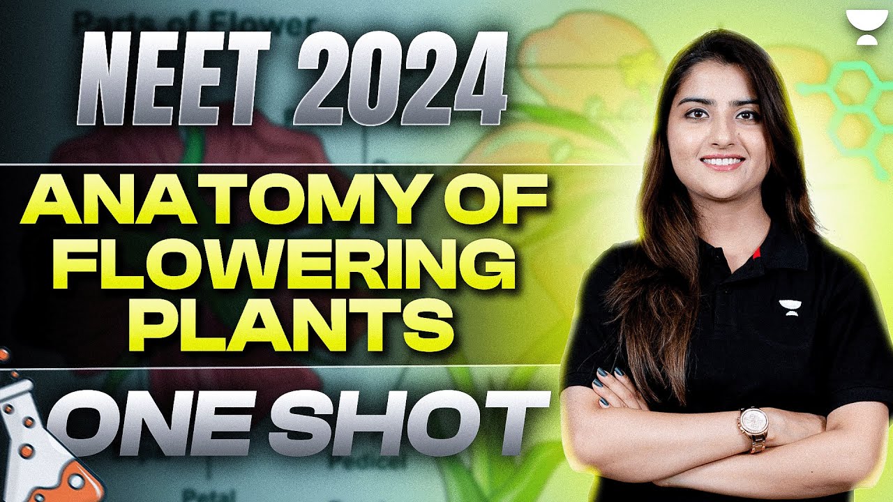 Anatomy of Flowering Plants - One shot | NEET 2024 | Seep Pahuja