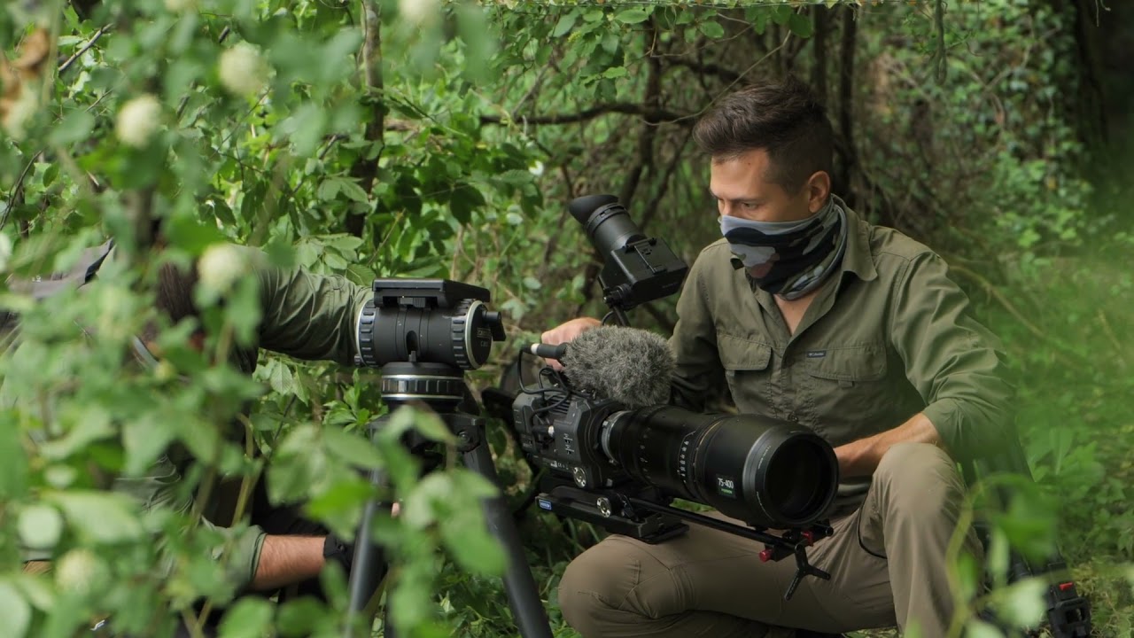 Paolo Sodi filming wildlife with Cartoni Focus 22