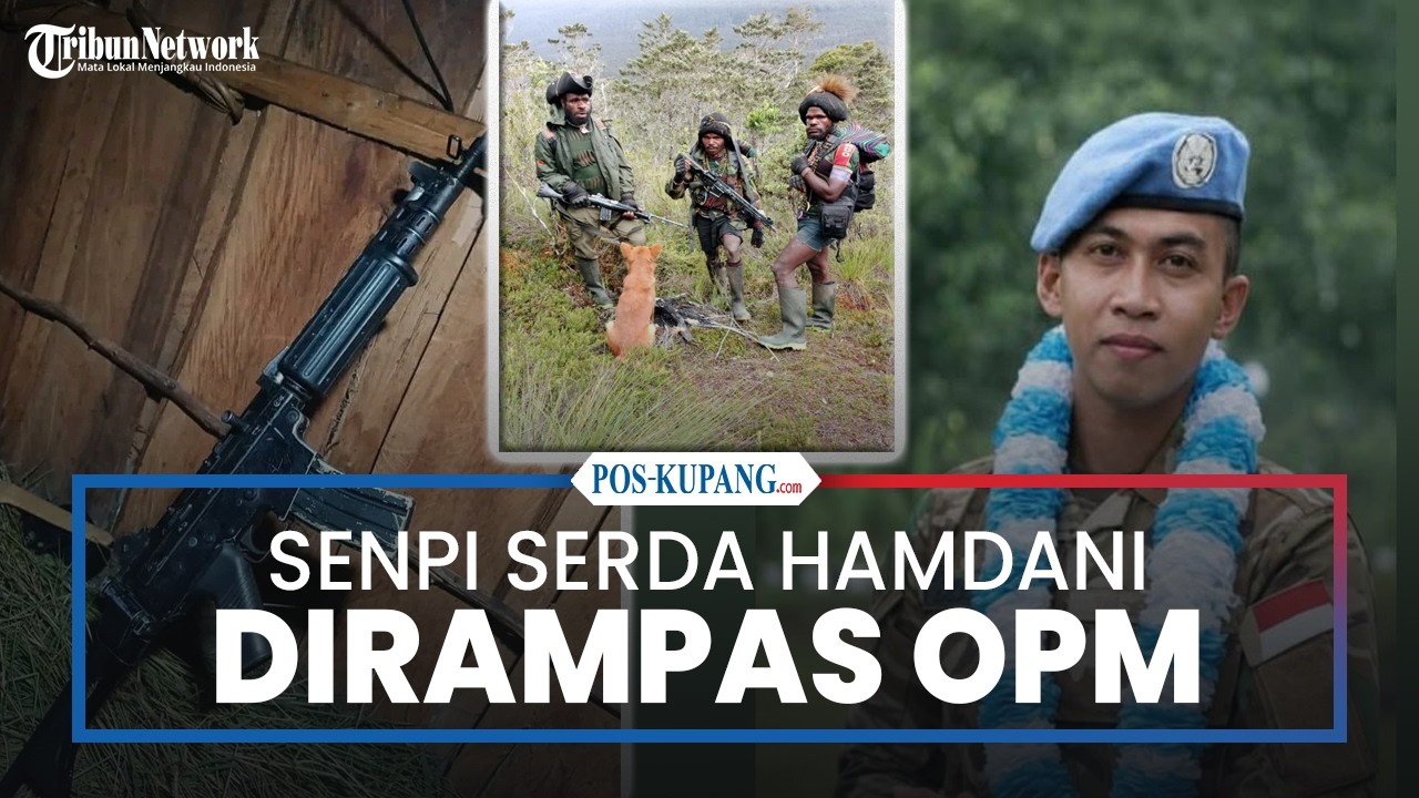 Senpi Serda Hamdani Dirampas Saat OPM Serang Pos di Nabire Diselidiki