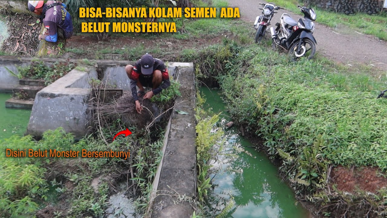 SPOT YANG TAK DISANGKA  MALAH ADA BELUT MONSTER