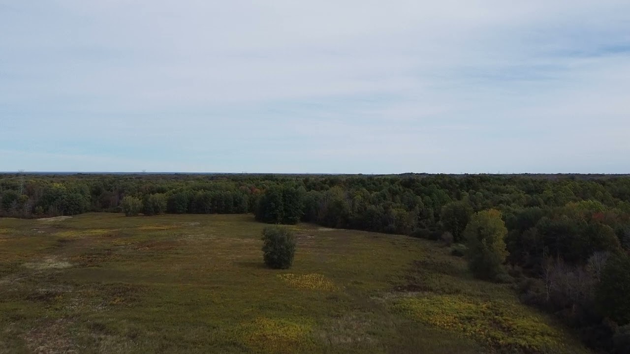 Aerial Survey