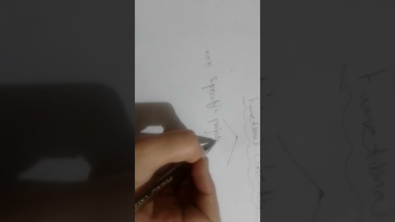 thalamus functions
