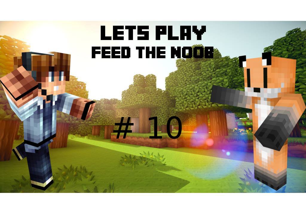 Feed the Noob #10 Hausorganisation und Hauschaos