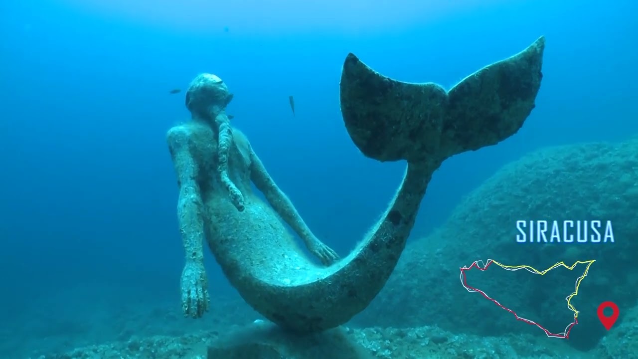 Sicilia, un mare di vita