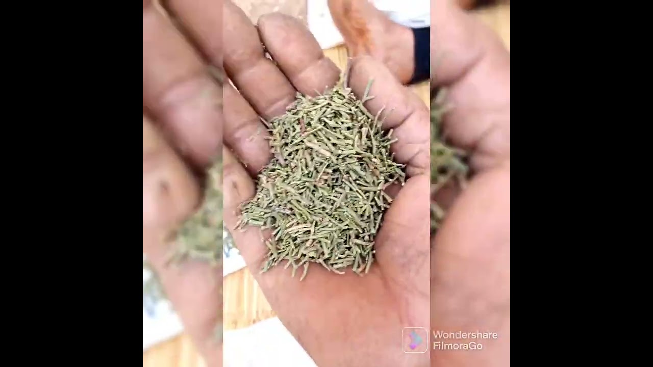 كيفية صنع مشروب الشعير بالاعشاب 🍹🥤 المريسة
