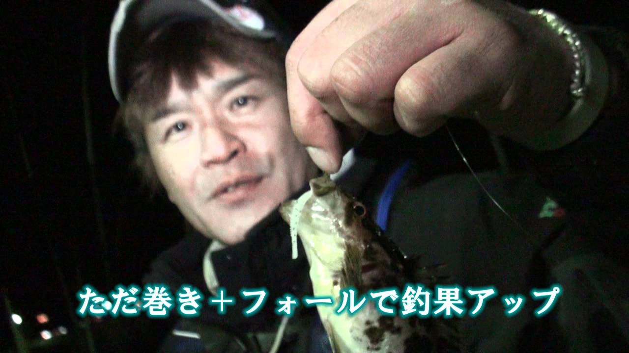 エコギア アクア 活メバルシラス メバリングの秘密兵器 三好仁数