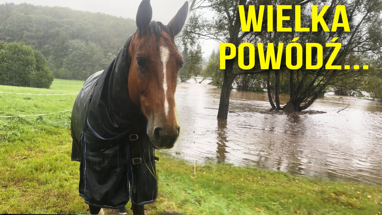 WIELKA POWÓDŹ W NASZEJ OKOLICY! CO Z KOŃMI?!