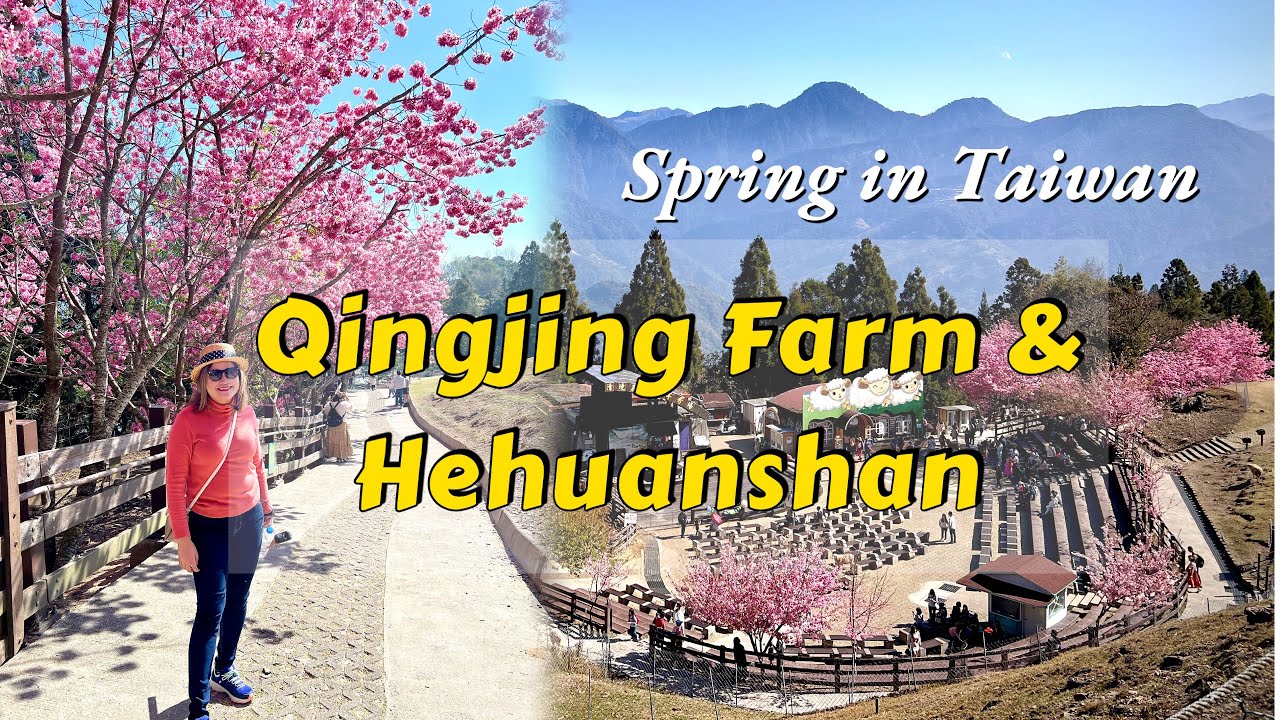 Cingjing Farm & Hehuanshan Sunrise l Nantou, Taiwan Travel Guide