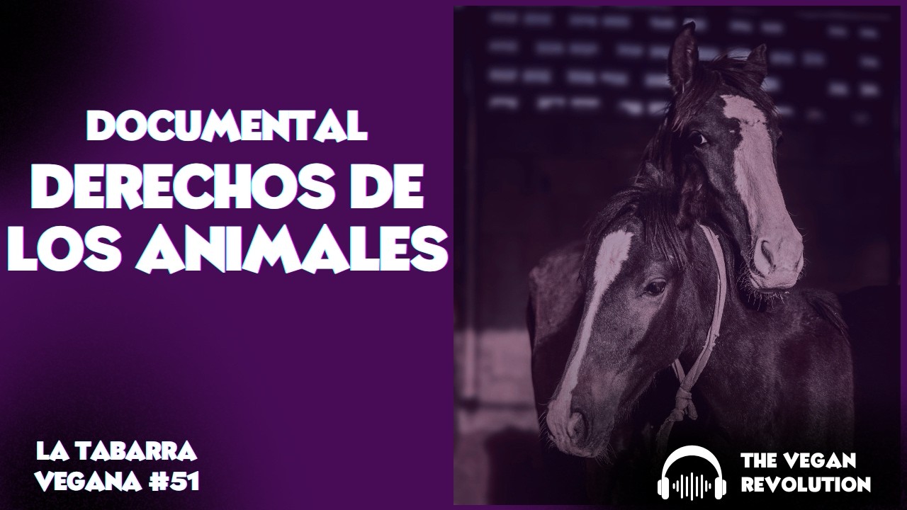 Documental. Derechos de los Animales