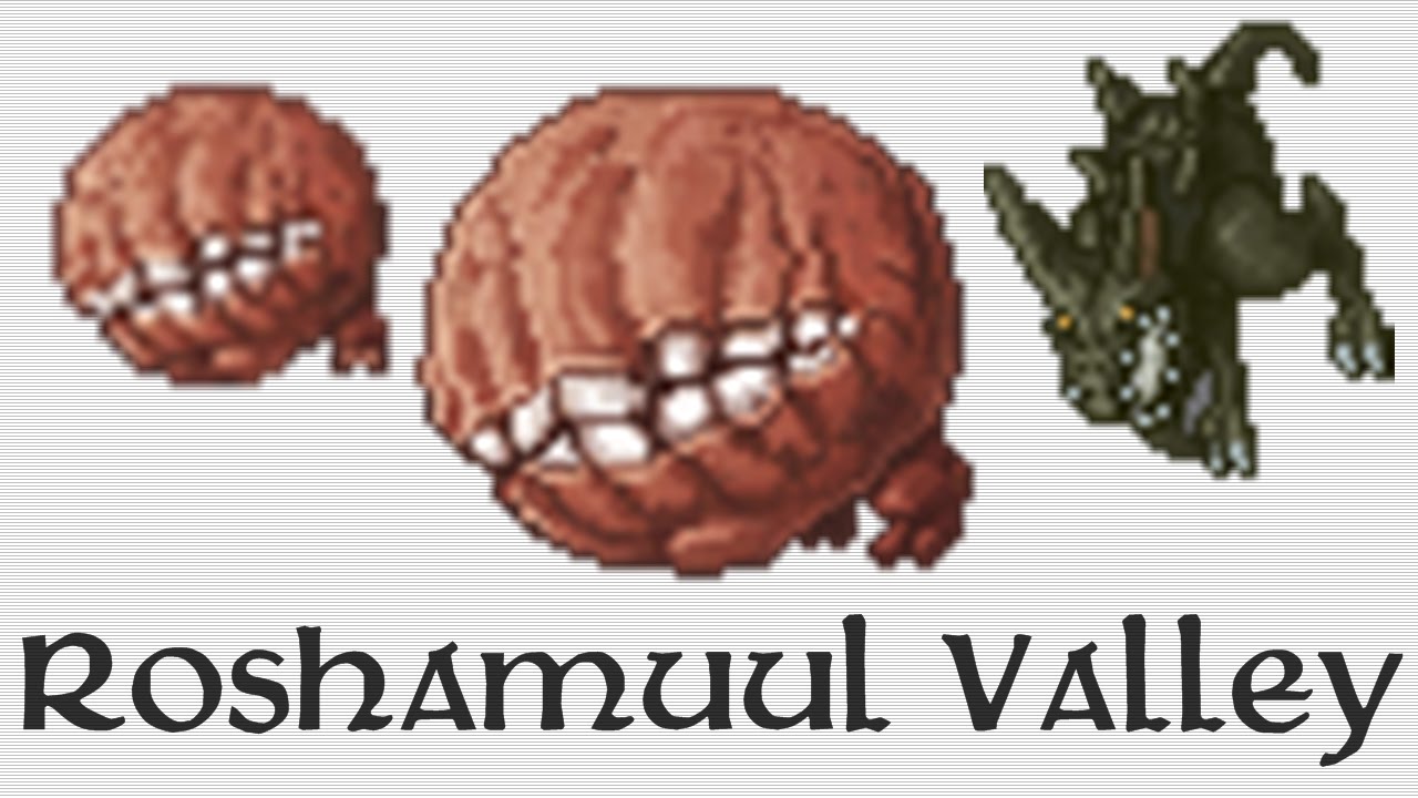 Tibia - Roshamuul Valley hunt (4 vocations)