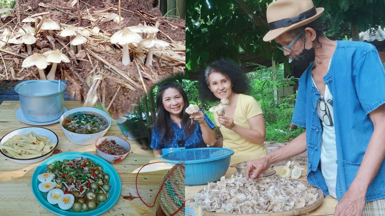 สวนผสมผสาน สร้างป่าเลียนแบบธรรมชาติ เพาะเห็ดโคน เห็ดปลวก เห็ดไค ไว้กิน โดยลุงหนวดปะอาว  EP.2