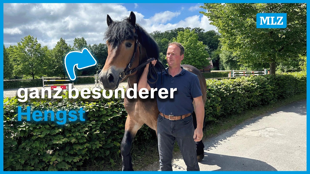 So werden Kaltblüter vom Aussterben bewahrt