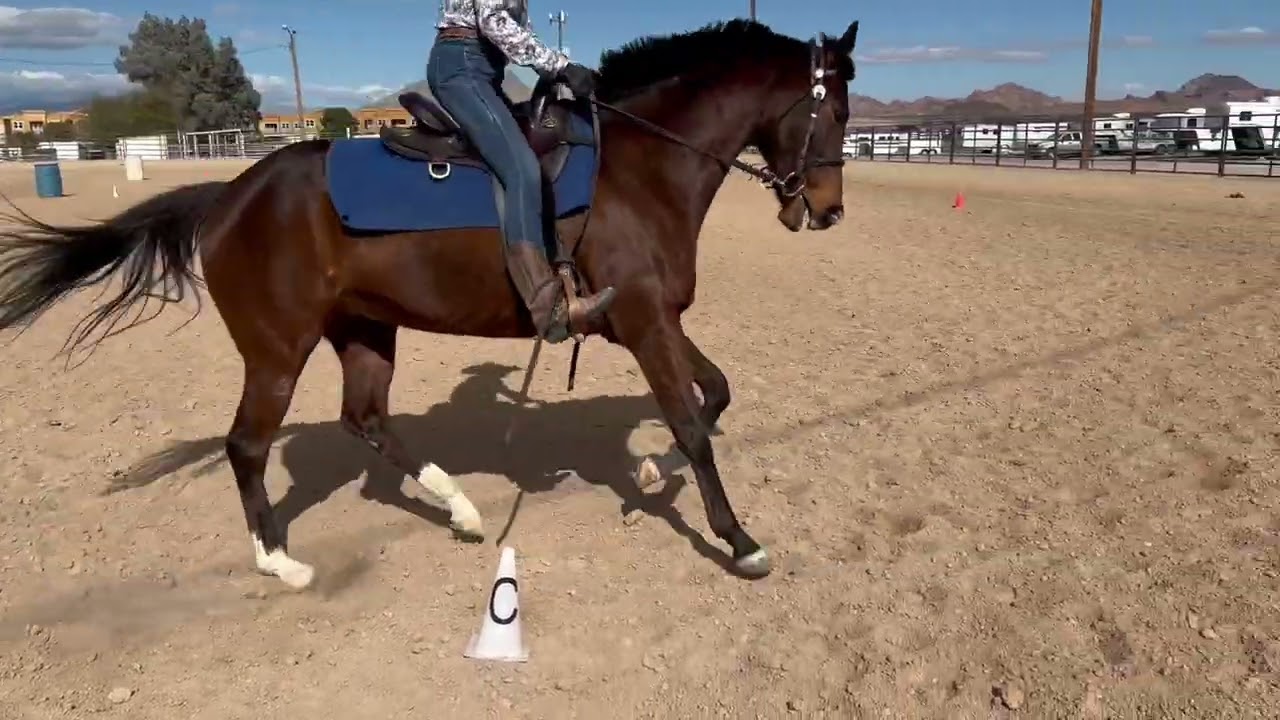 NVWDA Show-26-141 Angel
