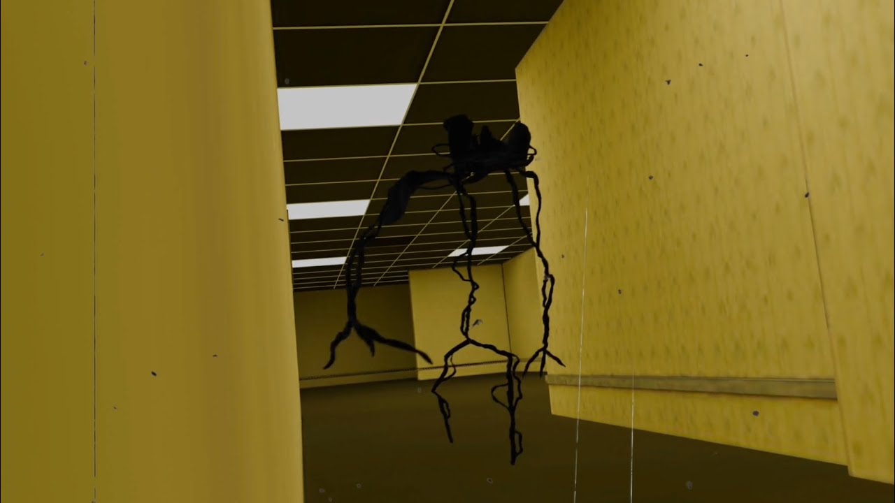 Entity in the Backrooms (found footage)