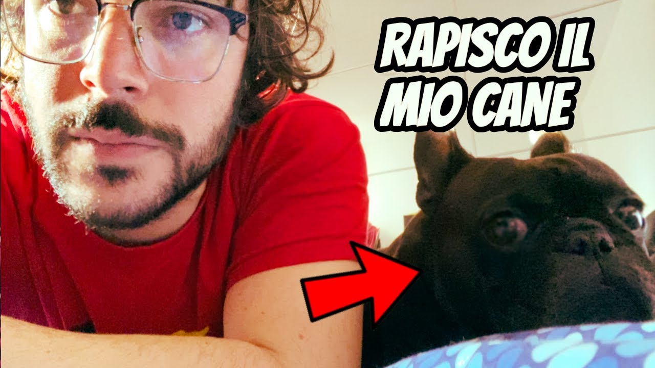 RAPISCO il mio cane | WEEKWOOSH #4
